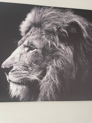 Cuadro de León en Blanco y Negro