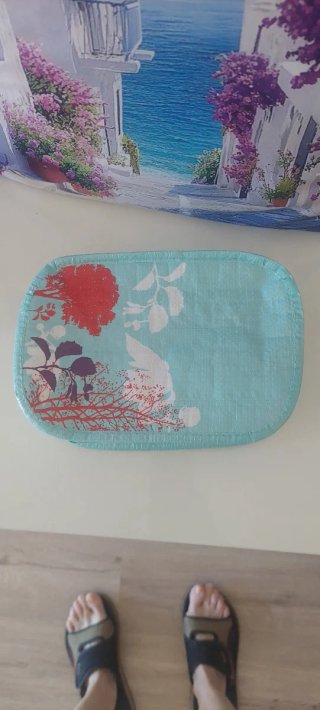 Nevera-bolsa portátil con asa y cremallera