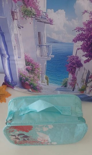 Nevera-bolsa portátil con asa y cremallera