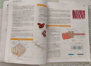 Biología, Geología y Ciencias Ambientales 1 Bac...