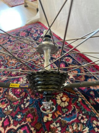 Rueda MAVIC GP4 Super Record Campagnolo Regina