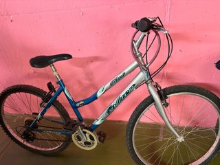 Bicicleta Coluer