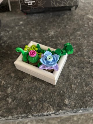 LEGO Botanicals 5010093