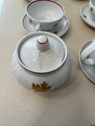 Juego de tazas de porcelana con hojas
