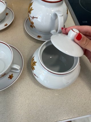 Juego de tazas de porcelana con hojas