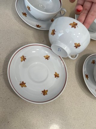 Juego de tazas de porcelana con hojas