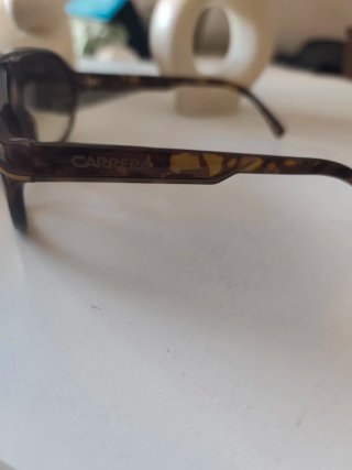 Gafas de sol Carrera marrones