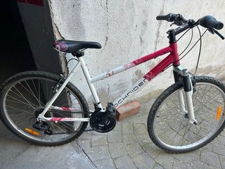 Bicicleta Montaña Infantil Niña 24