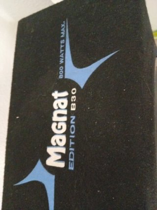 Subwoofer Magnat Negro y Gris