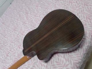 Guitarra Camps