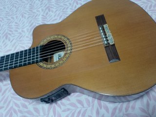 Guitarra Camps