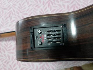 Guitarra Camps