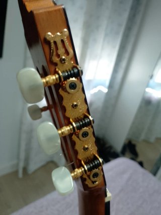Guitarra Camps