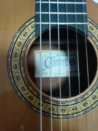 Guitarra Camps
