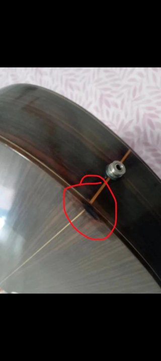 Guitarra Camps