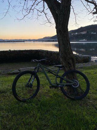 Bicicleta Canyon Neuron 7 Verde 2023