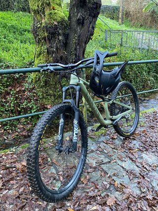 Bicicleta Canyon Neuron 7 Verde 2023