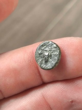 Moneda Griega Antigua Aeolis Temnos Bronce
