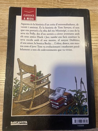 Les aventures de Tom Sawyer