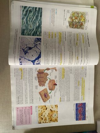 Libro de Biología y Geología de 1 de Bachillerato