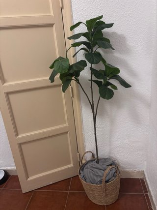 Planta artificial decorativa con cesta de mimbre