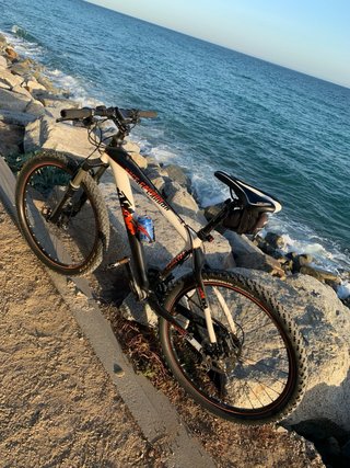 KTM Pure Carbon 26'' Bicicleta Montaña