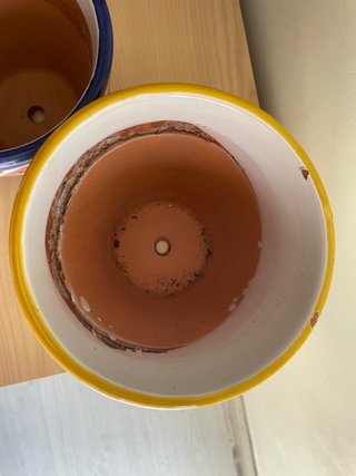 Juego de 3 macetas de cerámica decoradas