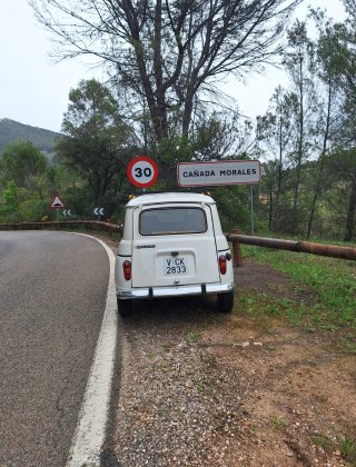Renault 4 tl 1988