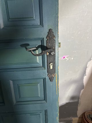 Puerta de calle panelada