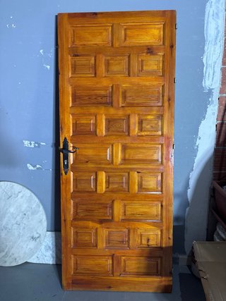 Puerta de calle panelada