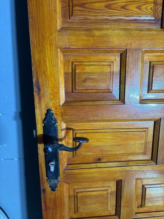 Puerta de calle panelada