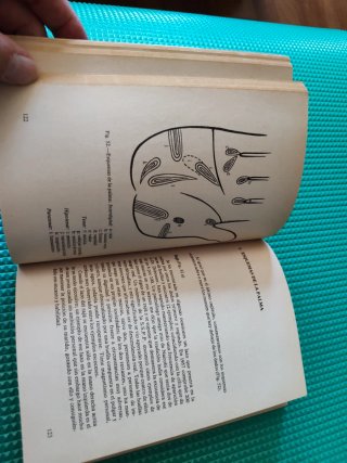 Su Vida en sus Manos