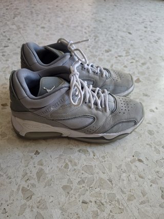 Nike Air Jordan Point Lane grises