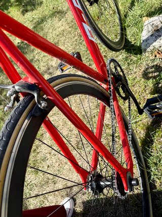 Bici B-PRO Fixie / Single Speed Talla M