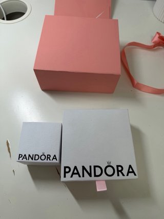 Pulsera Pandora con Charm