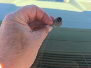 Sensor Nivel Anticongelante BMW 17137553919