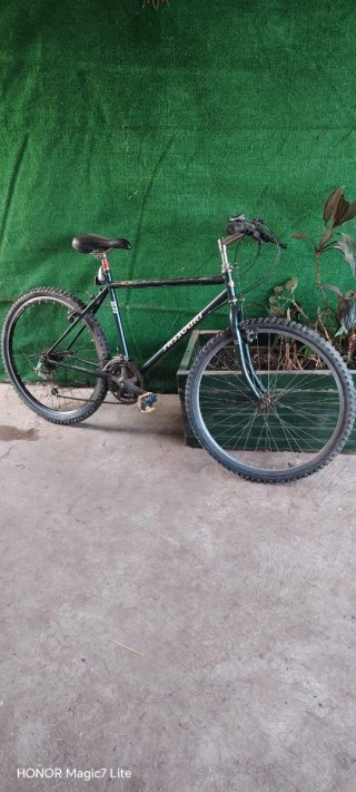 Bicicleta Missouri Montaña