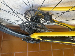Bicicleta Specialized Rockhopper expert Gialla