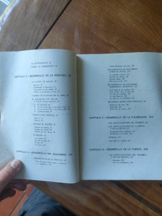Gimnasia dinámica