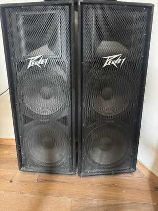 Altavoces Peavey 2x15