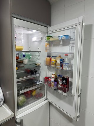 Frigorífico Nevera Blanca Electrolux
