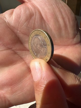 Moneda 1 Euro Común
