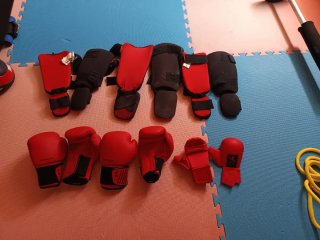Guantes y espinilleras de artes marciales