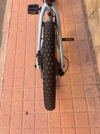 Bicicleta Orbea Laufey 20