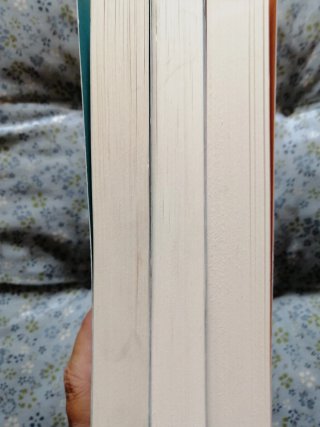 TRILOGIA VICKY DELANY