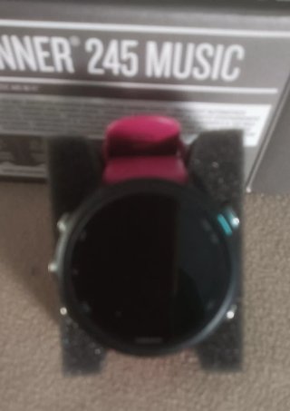 Garmin Forerunner 245 Music GPS Reloj
