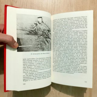EL ENIGMA DE LOS DINOSAURIOS