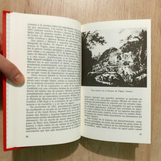 EL ENIGMA DE LOS DINOSAURIOS