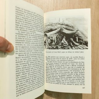 EL ENIGMA DE LOS DINOSAURIOS
