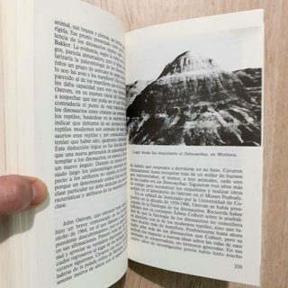 EL ENIGMA DE LOS DINOSAURIOS